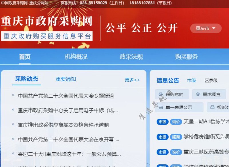 招投标信息:行业动态与市场趋势